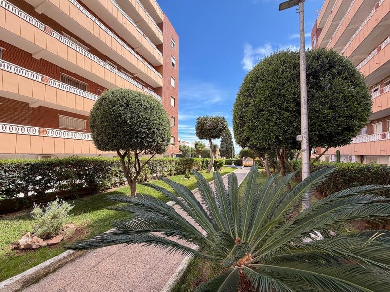 Foto 4cdc09e0-4620-41e8-963c-aef96e9da69a. Apartament amb calefacció a Punta Prima Torrevieja