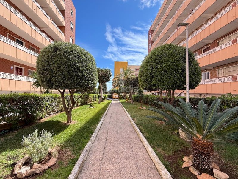 Foto fa14c8a9-0f12-414a-b05f-442ee74764dc. Apartament amb calefacció a Punta Prima Torrevieja