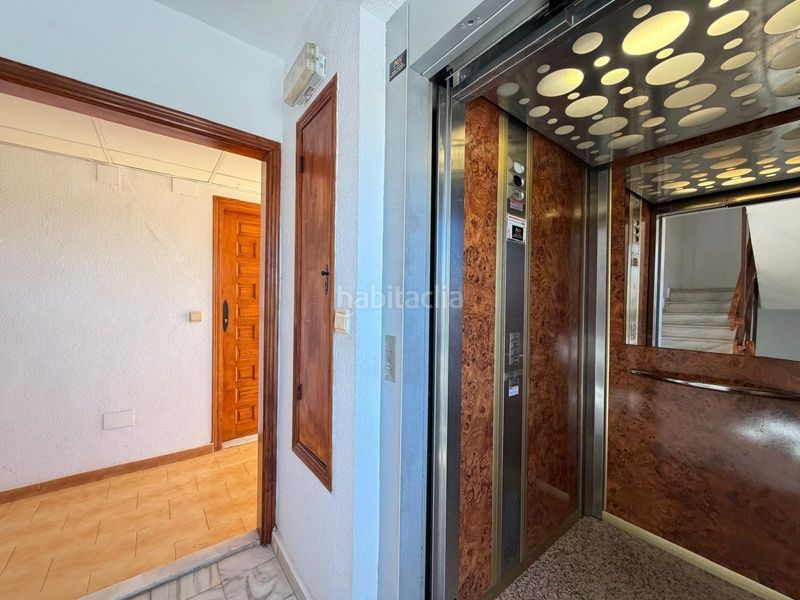 Foto 79bbcf90-cf03-4b9e-9fe3-966021d94a65. Estudi a Aguas Nuevas Torrevieja