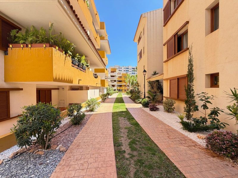 Foto 11873055-a87c-4e4b-a51c-66cdbfe40a15. Apartament amb calefacció aparcament piscina a Punta Prima Torrevieja
