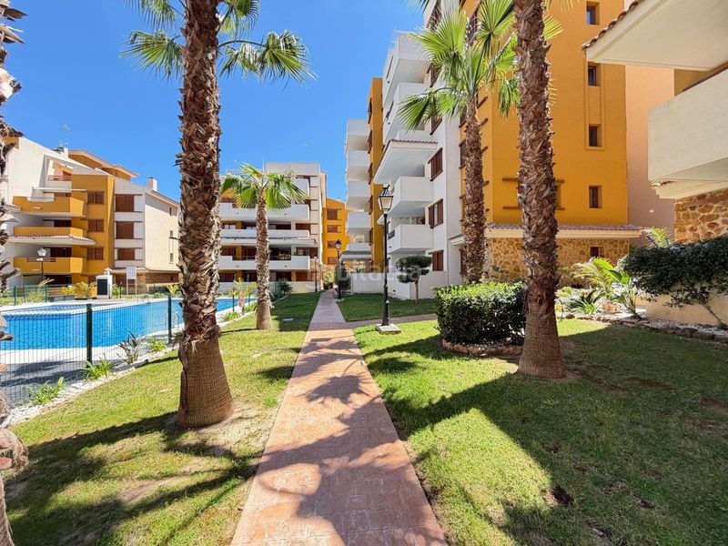 Foto 3124779d-31e3-42cb-897c-402eb97885f9. Apartament amb calefacció aparcament piscina a Punta Prima Torrevieja