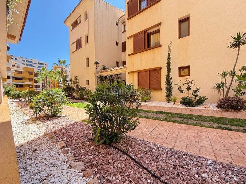 Foto f8d3c814-9c4f-4d31-b351-c5f84a54a460. Apartament amb calefacció aparcament piscina a Punta Prima Torrevieja