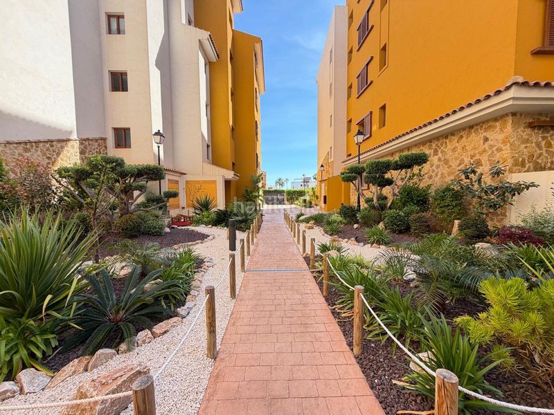 Foto f95b86b8-6578-44c7-a9a8-ed481cd6496a. Àtic amb aparcament piscina a Punta Prima Torrevieja