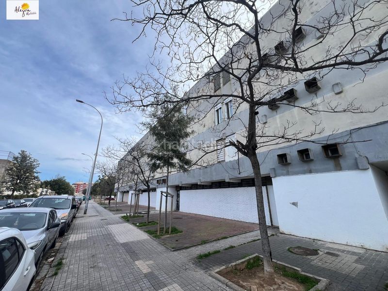 Foto 4c895b63-420b-48f1-90dd-d3841120e405. Pis a Tres Forques Valencia