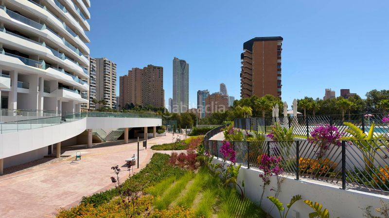 Foto 5a21f0e1-0ebf-4781-a59e-0d21879a9fd1. Apartament amb aparcament a Playa Poniente Benidorm