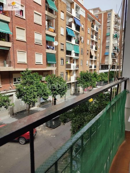 Foto 7beae045-1f63-46f9-9109-c5bf8a3b8689. Apartament a La Creu del Grau Valencia
