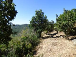 Finca rústica a Siena 6. Parcelas con vistas al mar costa brava