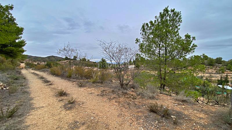 Foto 89e92248-8080-40e1-8eaf-24c63a8e88cf. Xalet amb aparcament a Alhama de Murcia ciudad Alhama de Murcia