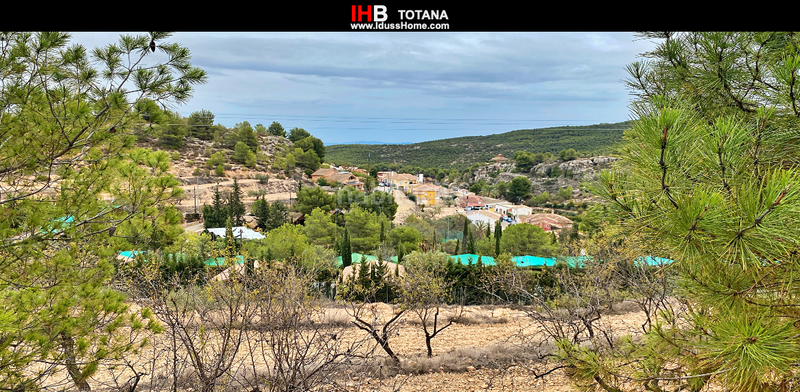 Foto df8f7468-86b1-4815-8c35-085f8d01a412. Xalet amb aparcament a Alhama de Murcia ciudad Alhama de Murcia