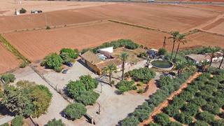 Masia en La Palma. Finca de 37.000 m con 3 viviendas de mas de 700 m