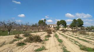 Country house in Balsapintada - El Estrecho. Casa de campo con 4.070m2 de terreno y 88 m2 de vivienda