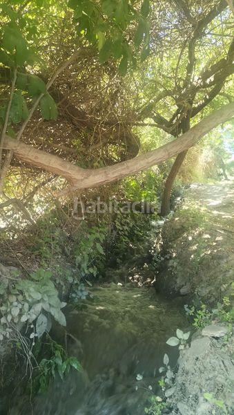 Foto c8a4e877-b789-4da7-9f1f-c98a7ba41f23. Masia a pomma s/n a Dúrcal