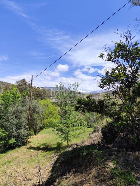 Foto d33c621e-1016-4c7b-ab8b-8d9ca6e32b76. Masía en finca el alcázar casa rural en venta en cónchar, 3 dormitorios. en Villamena