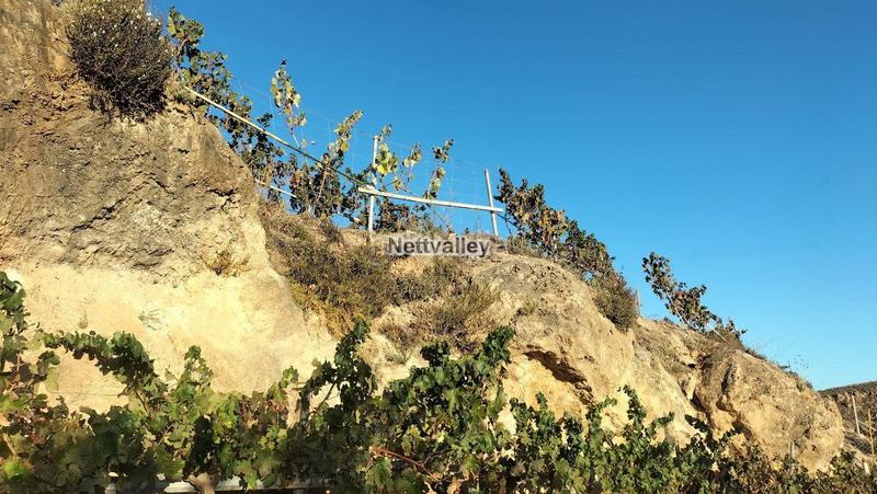 Foto 406d514e-8236-4e49-8ac4-0a292a137647. Terreny residencial a Pinar (El)