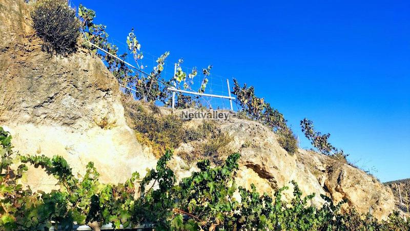 Foto 4a9f3992-d530-4297-8be3-2ac2e49ac509. Terreny residencial a Pinar (El)