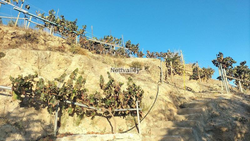 Foto 7c9d2a52-21bc-4aac-b2d6-41ec3eacafbb. Terreny residencial a Pinar (El)