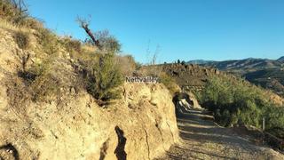 Terreny residencial  Fuente del olivo. Finca rúst. en venta en pinos del valle.
