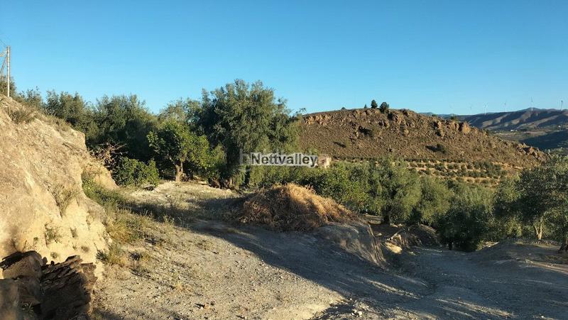 Foto b2645b64-397f-4f2c-9e55-d5ebe59ca974. Terreny residencial a Pinar (El)