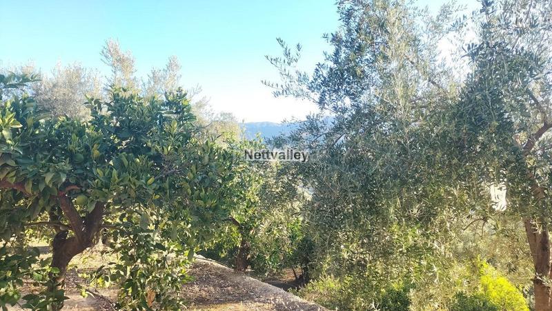 Foto dfae5b51-6a8d-46eb-b276-bfd03d512a2e. Terreny residencial a Pinar (El)