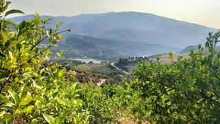 Masia a Valle (El). Finca rúst. en venta en el valle.