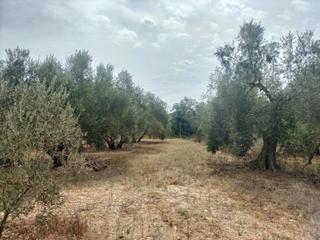 Masia a Nigüelas. Finca rúst. en venta en la venta.