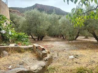 Masia a Lecrín. Finca rúst. en venta en lecrin.