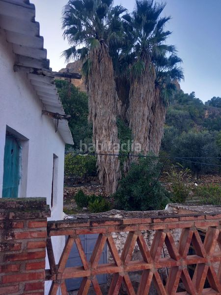 Foto d31a98e7-5edf-42cb-a8b0-534629ddf82c. Masia a Pinar (El)