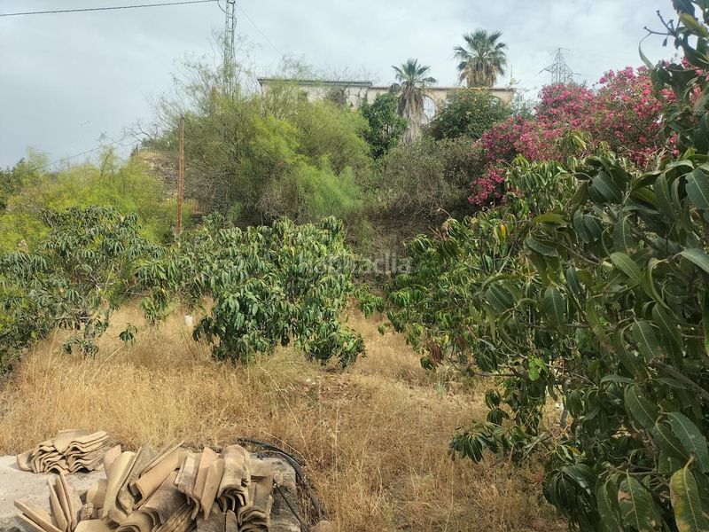 Foto d1e8e0a9-7d78-4a61-82cd-9e1421eb19a8. Masia a Torrecuevas - Lomas del Gato Almuñécar