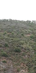 Masia a Dúrcal. Finca rúst. en venta en dúrcal.