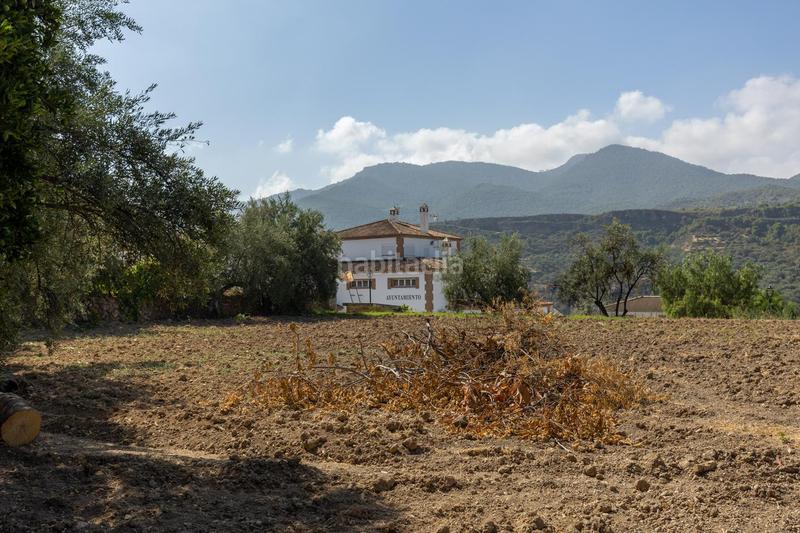 Foto 494af29c-6088-4682-9765-d520cff2bf75. Casa a calle carretera 65 a Albuñuelas