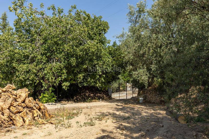 Foto 7bdef3fa-3f61-4d01-8921-7d20c29d6dfe. Casa a calle carretera 65 a Albuñuelas