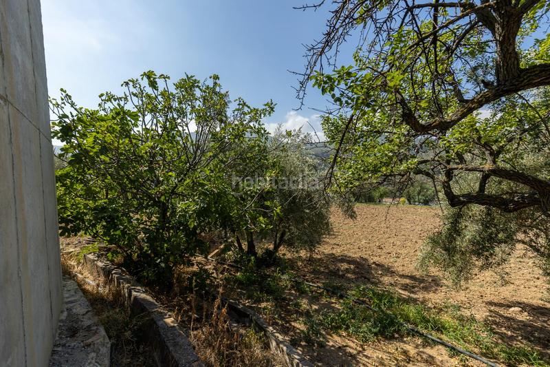 Foto b8ecbeb6-34c4-4130-8f67-77e5e027107b. Casa a calle carretera 65 a Albuñuelas