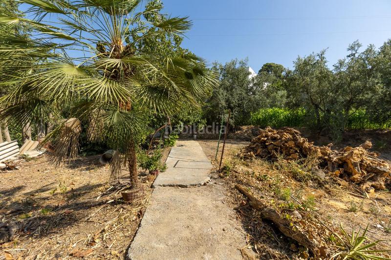 Foto f70672cb-d0fc-4534-a63c-c66f5c7d3987. Casa a calle carretera 65 a Albuñuelas