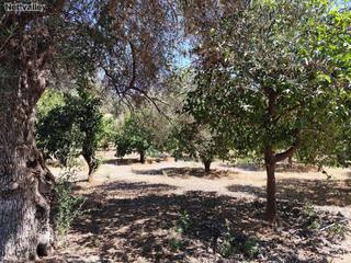 Terreny residencial a Hoyuela de murchas. Finca rúst. en venta en murchas.