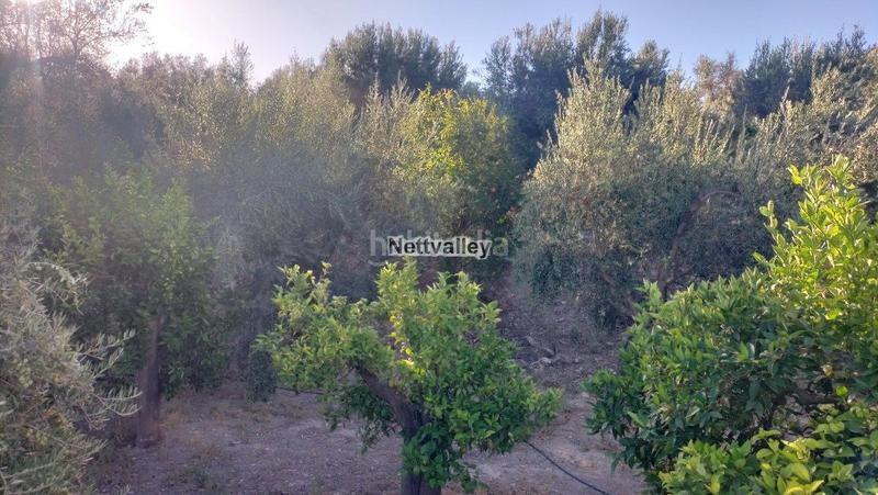 Foto 2043e9b8-adbf-4275-bfd2-b847070d5cc7. Masía finca rúst. en venta en pinos del valle. en Pinar (El)