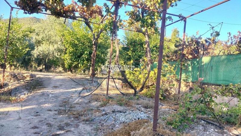 Foto dd30019f-20f9-432e-ac37-9e538308f7c8. Masía finca rúst. en venta en pinos del valle. en Pinar (El)