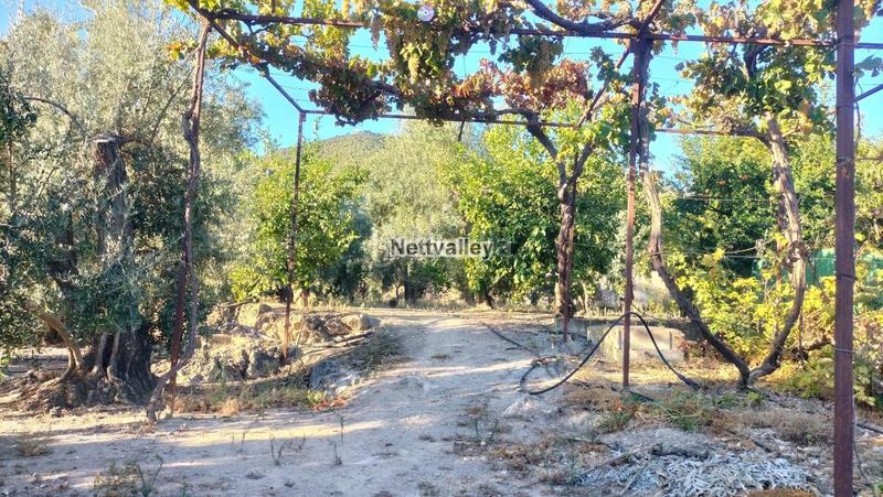Foto de0a103b-4ac6-4b82-ba91-bb8c9fcfb335. Masía finca rúst. en venta en pinos del valle. en Pinar (El)