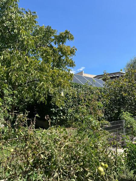 Foto 107b0329-af2e-4808-be12-6afc5d8501ba. Mas dans durcal sin n dans Nigüelas