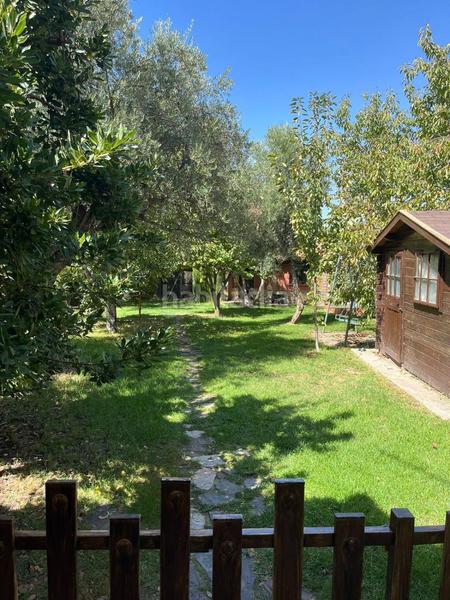 Foto 1b914798-a422-420e-bf0c-5fcfa87f764e. Mas dans durcal sin n dans Nigüelas