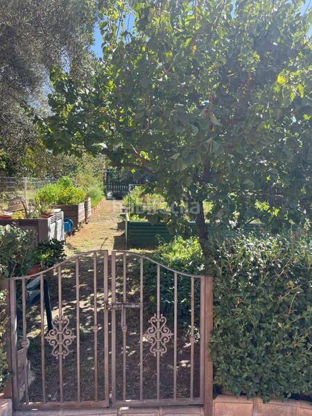 Foto 1c1a014a-12d4-4fcb-8957-34b3b28c24b5. Mas dans durcal sin n dans Nigüelas