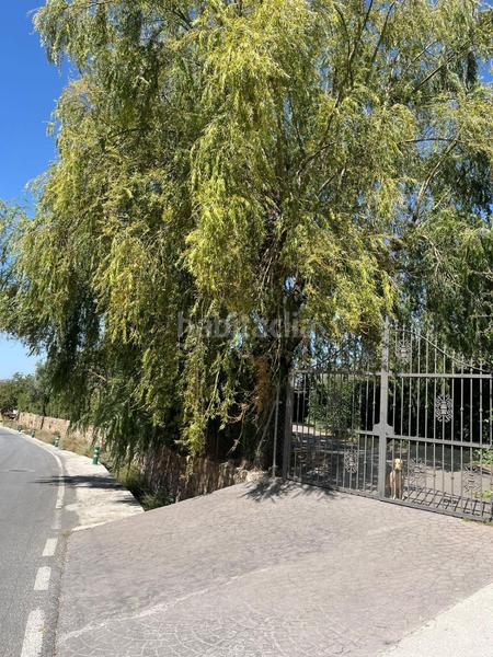 Foto 1da27c82-166b-4353-804f-a81546e077a1. Mas dans durcal sin n dans Nigüelas