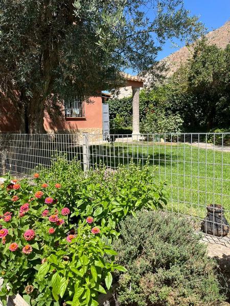 Foto 25943b37-07d2-46fa-aed7-2d3c4950e919. Mas dans durcal sin n dans Nigüelas