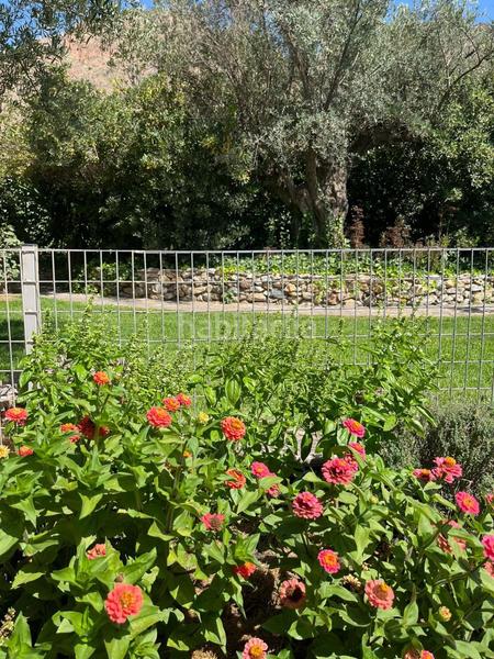 Foto 2b205c1b-f2ac-4946-b688-cdcf69851437. Mas dans durcal sin n dans Nigüelas