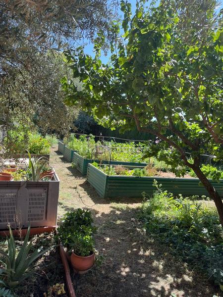 Foto 33a529ef-b6bb-4664-8625-b92e13431b2e. Mas dans durcal sin n dans Nigüelas