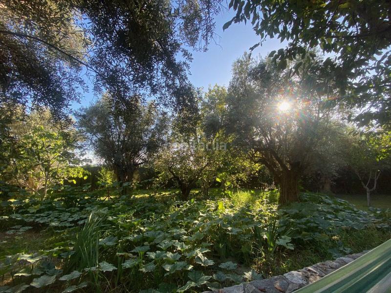 Foto 51b14bb5-e431-461d-ac13-e08057675920. Mas dans durcal sin n dans Nigüelas