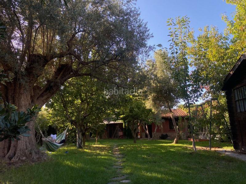 Foto 76e9a090-3471-41e3-9168-771e6552f94f. Mas dans durcal sin n dans Nigüelas