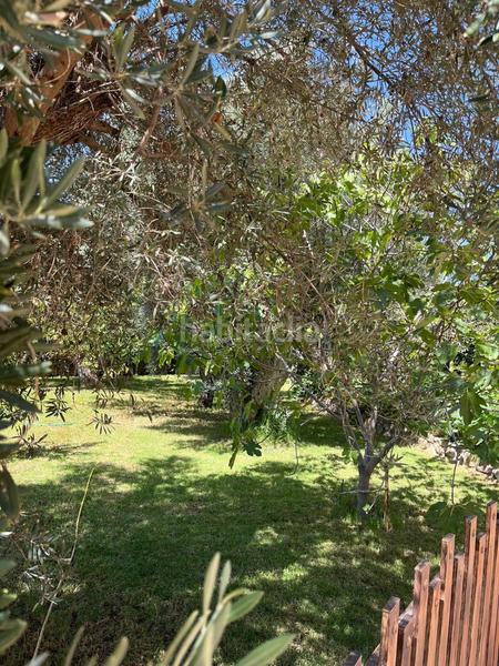 Foto 788d5995-f32e-498b-90b8-176514e79de1. Mas dans durcal sin n dans Nigüelas