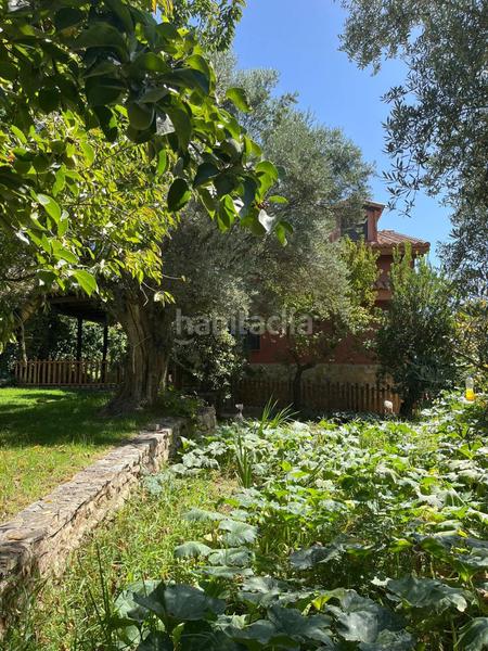 Foto 805e259b-5c9a-4a8d-b318-e5ececc39e53. Mas dans durcal sin n dans Nigüelas