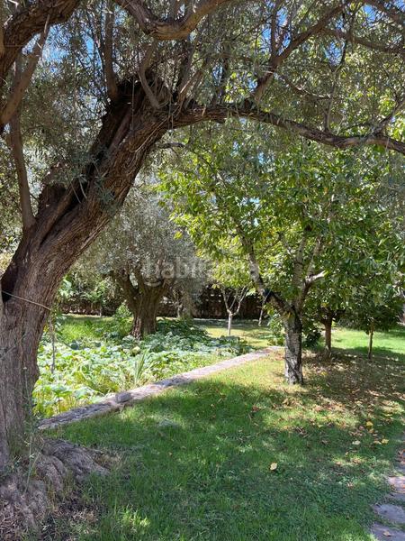 Foto 8a94e8ac-f379-49f2-8127-9f51d6b64125. Mas dans durcal sin n dans Nigüelas