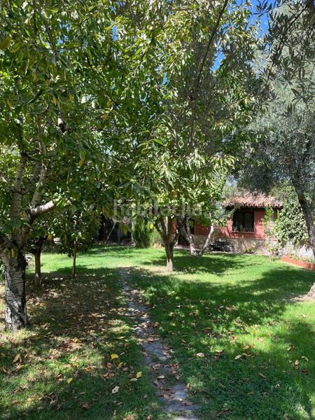 Foto c048d56e-3163-4f1a-881f-106e04820b47. Mas dans durcal sin n dans Nigüelas